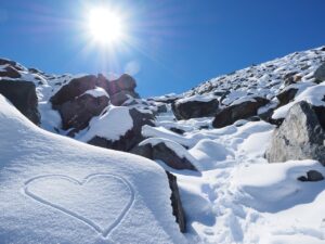 Rumi Heart White as Snow